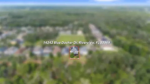 View/Area - 14242 Blue Dasher Dr, Riverview, FL 33569 photo 4 of 8