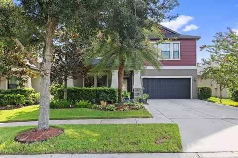 Exterior - 14242 Blue Dasher Dr, Riverview, FL 33569 photo 2 of 7