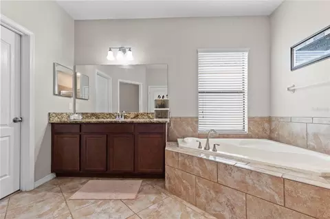 Bath - 14242 Blue Dasher Dr, Riverview, FL 33569 photo 3 of 9