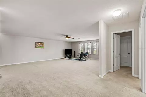 Entry Way - 14242 Blue Dasher Dr, Riverview, FL 33569 photo 6 of 6