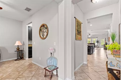 Entry Way - 14242 Blue Dasher Dr, Riverview, FL 33569 photo 2 of 6