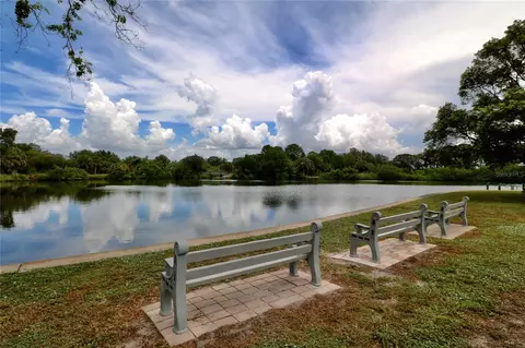 View/Area - 103 Saint George Ct, Apollo Beach, FL 33572 photo 10 of 11
