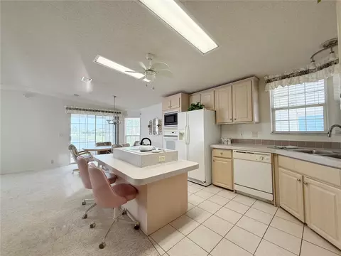 Kitchen - 103 Saint George Ct, Apollo Beach, FL 33572 photo 3 of 3