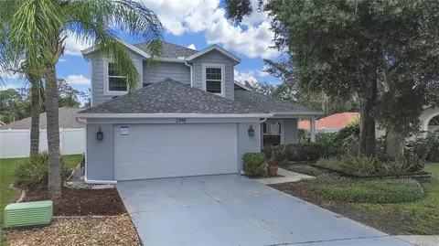 2348 Asaph Ct, Land O Lakes, FL 34639