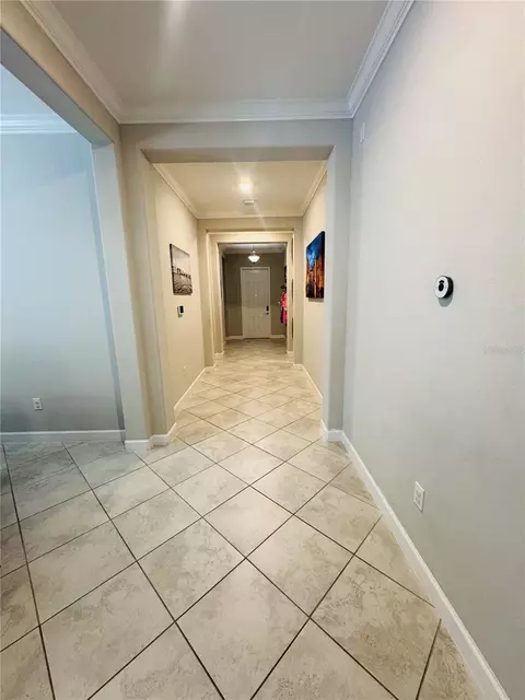 Entry Way - 11614 Sunburst Marble Rd, Riverview, FL 33579 photo 3 of 4