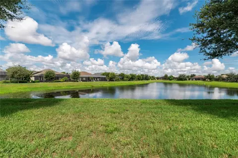 Exterior - 1117 Thornbury Dr, Parrish, FL 34219 photo 8 of 13