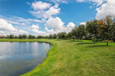 View/Area - 1117 Thornbury Dr, Parrish, FL 34219 photo 3 of 5