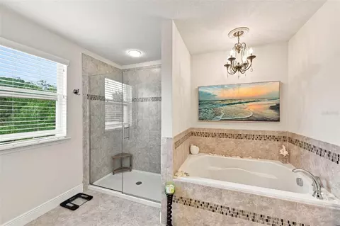 Bath - 11156 Spring Point Cir, Riverview, FL 33579 photo 3 of 4