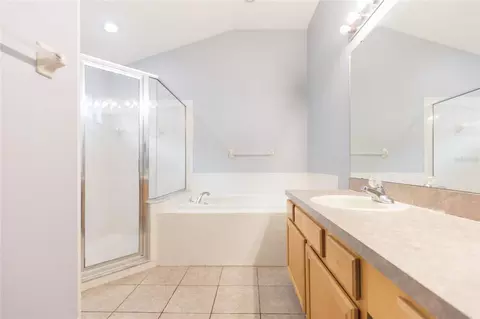 Bath - 11706 Pure Pebble Dr, Riverview, FL 33569 photo 4 of 6