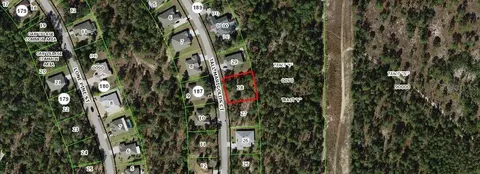 20 Tall Marigolds, Homosassa, FL 34448