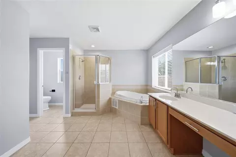 Bath - 1533 Amaryllis Ct, New Port Richey, FL 34655 photo 4 of 4
