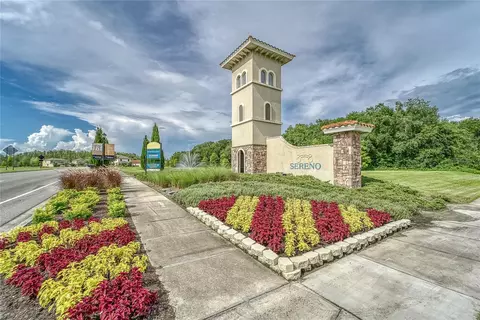View/Area - 5035 Sable Chime Dr, Wimauma, FL 33598 photo 6 of 11