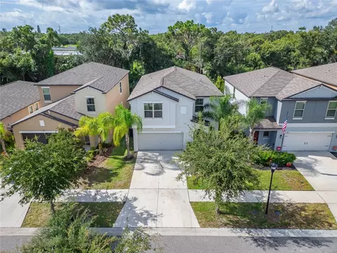 View/Area - 5035 Sable Chime Dr, Wimauma, FL 33598 photo 1 of 11