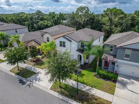 View/Area - 5035 Sable Chime Dr, Wimauma, FL 33598 photo 2 of 11