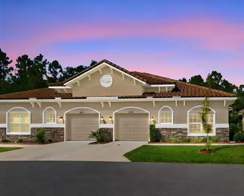 29817 Anand Vihar Dr, Wesley Chapel, FL 33543