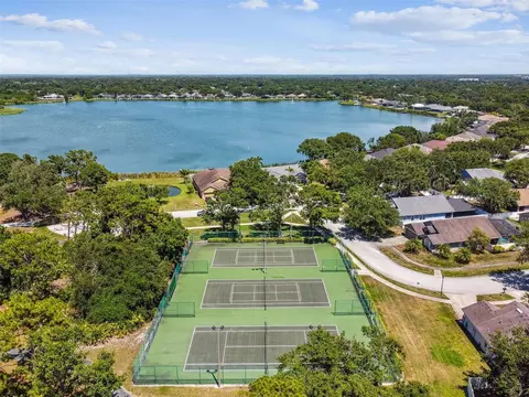 View/Area - 6637 Thackston Dr, Riverview, FL 33578 photo 7 of 9