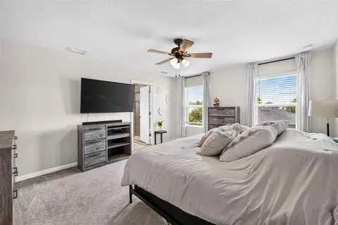 Bedroom - 11618 Gold Dust Ct, Riverview, FL 33579 photo 5 of 6