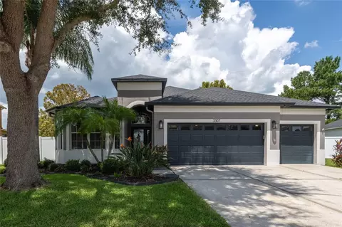 3307 Chessington Dr, Land O Lakes, FL 34638