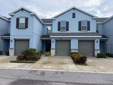6824 Citrus Creek Ln, Tampa, FL 33625
