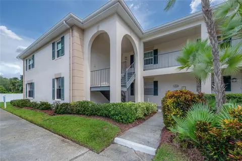 10391 Carrollwood Ln #294, Tampa, FL 33618