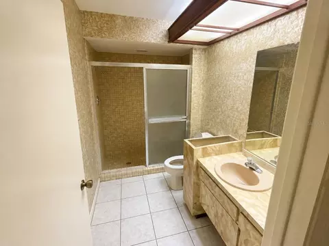 Bath - 6701 Pemberton View Dr, Seffner, FL 33584 photo 6 of 8
