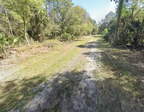 108 Chipola Dr, Georgetown, FL 32139 photo 5