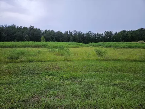 8801 Valerie Ct, Zephyrhills, FL 33540