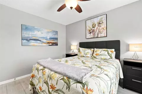 Bedroom - 2234 Springflower Dr, Clearwater, FL 33763 photo 2 of 7