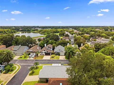 View/Area - 2234 Springflower Dr, Clearwater, FL 33763 photo 3 of 9