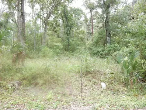 Central Avenue, Zephyrhills, FL 33540