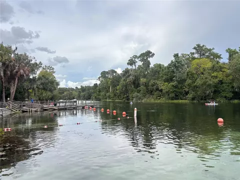 View/Area - 19203 SW 98th Loop, Dunnellon, FL 34432 photo 3 of 4