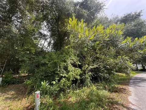 SW 98th Loop, Dunnellon, FL 34432 photo 5
