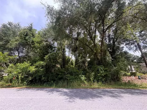 SW 98th Loop, Dunnellon, FL 34432 photo 2