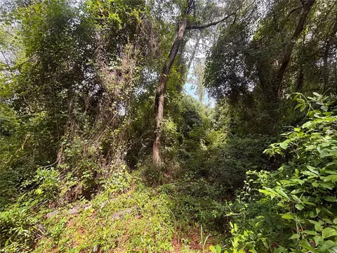 SW 98th Loop, Dunnellon, FL 34432 photo 6