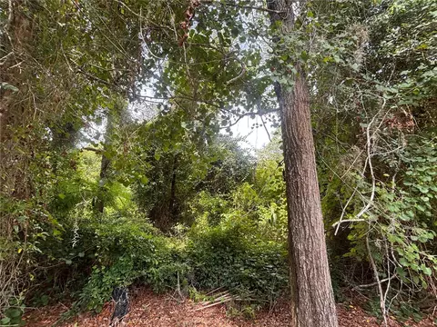 SW 98th Loop, Dunnellon, FL 34432 photo 7