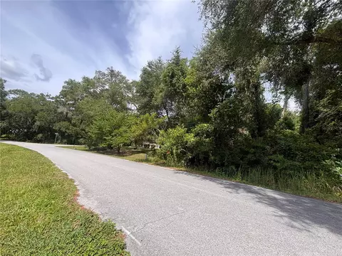 SW 98th Loop, Dunnellon, FL 34432 photo 4