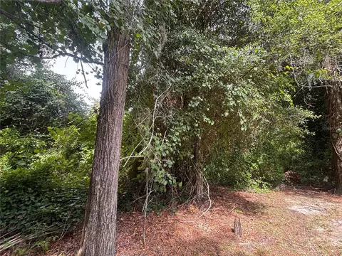 SW 98th Loop, Dunnellon, FL 34432 photo 8