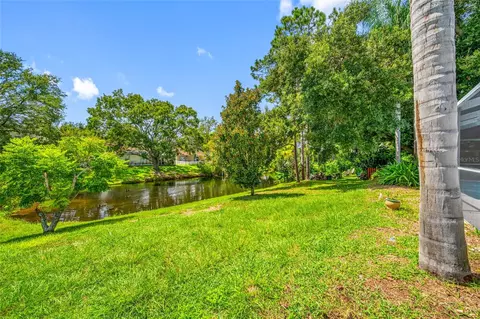 Exterior - 11925 Cedarfield Dr, Riverview, FL 33579 photo 8 of 19