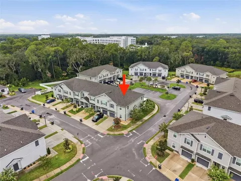 View/Area - 10828 Quickwater Ct, Riverview, FL 33569 photo 4 of 5