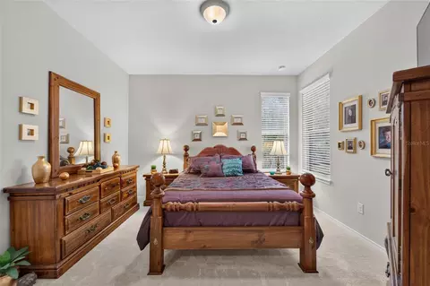Bedroom - 428 Seneca Falls Dr, Apollo Beach, FL 33572 photo 3 of 3