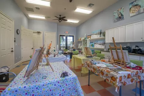 View/Area - 428 Seneca Falls Dr, Apollo Beach, FL 33572 photo 6 of 6