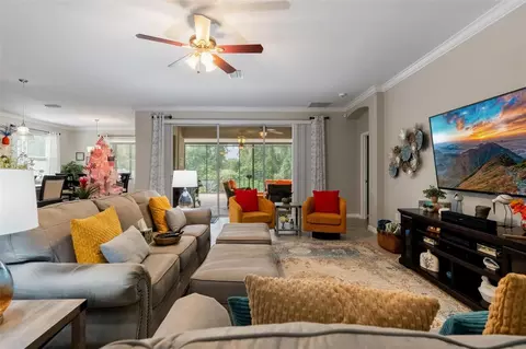 Living - 10321 Riverdale Rise Dr, Riverview, FL 33578 photo 3 of 4