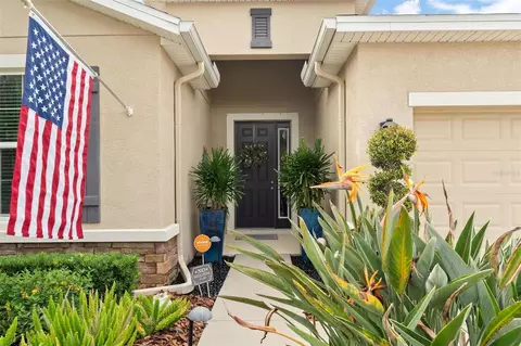 Other - 10321 Riverdale Rise Dr, Riverview, FL 33578 photo 1 of 9