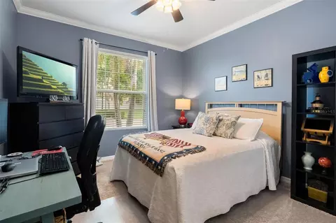 Bedroom - 10321 Riverdale Rise Dr, Riverview, FL 33578 photo 2 of 7