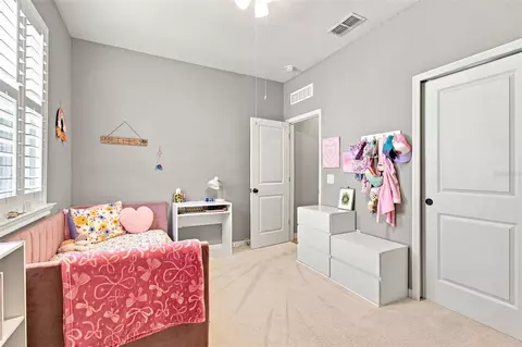 Bedroom - 11431 Brighton Knoll Loop, Riverview, FL 33579 photo 4 of 8