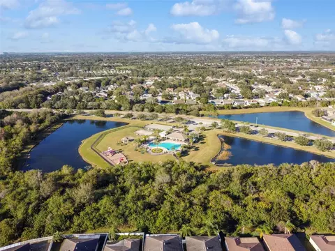 View/Area - 11431 Brighton Knoll Loop, Riverview, FL 33579 photo 27 of 30