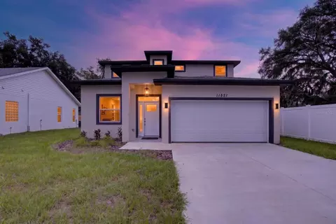 11521 Higdon Dr, Thonotosassa, FL 33592