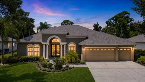 20622 Broadwater Dr, Land O Lakes, FL 34638