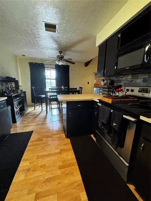 Kitchen - 118 Euclid Loop, Seffner, FL 33584 photo 2 of 5