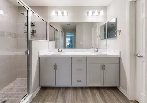 Bath - 11967 Stone Pine St, Riverview, FL 33569 photo 1 of 3